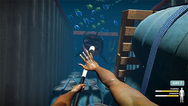 Chiến đấu với những mối đe dọa và Mẹ thiên nhiên giận dữ