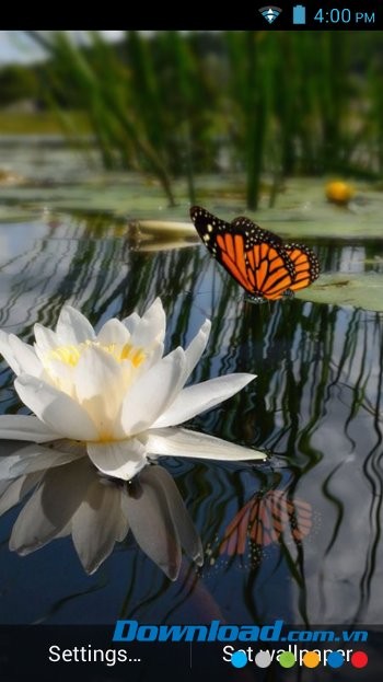 3D Butterfly Live Wallpaper hình nền 3D cho di động