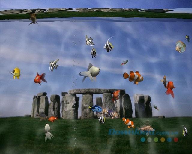 Bể cá 3D sinh động