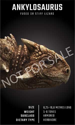 Khủng long Ankylosaurus