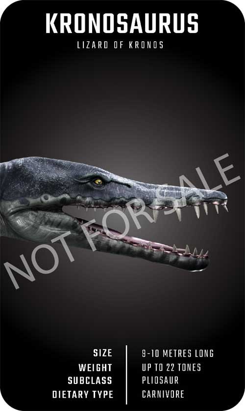 Khủng long Kronosaurus