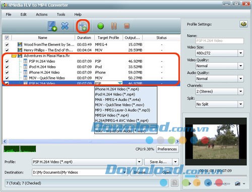 4Media FLV to MP4 Converter
