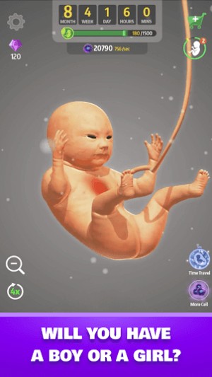 Bạn thích con trai hay con gái?