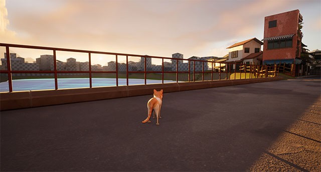 A Lost Whisker là một hành trình tìm con và báo thù cảm động