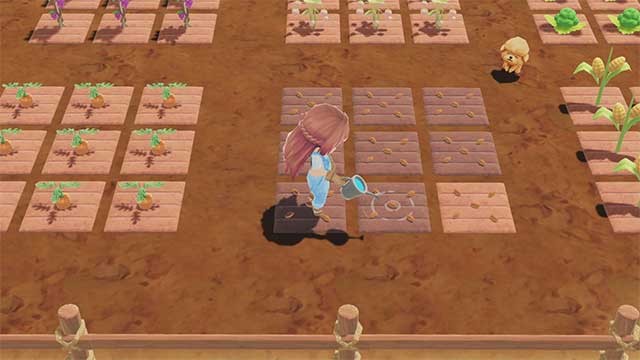 Khi trang trại phát triển, bạn sẽ thu hoạch được nhiều trái cây và rau quả