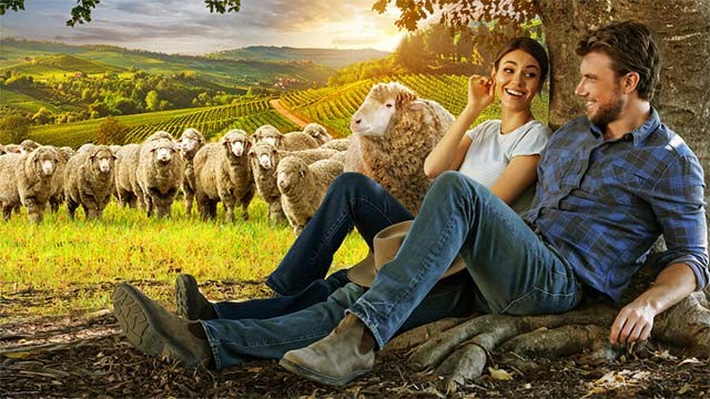 Poster phim Bộ Đôi Hoàn Mỹ trên Netflix