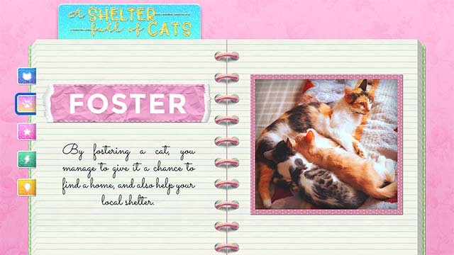 Khám phá câu chuyện của mỗi chú mèo và bảo vệ chúng