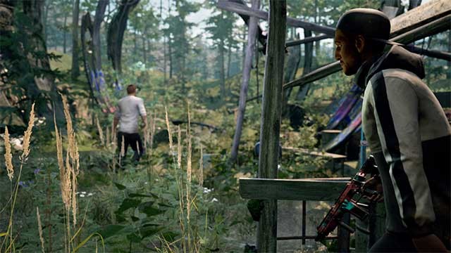 Tham gia với tư cách là một con sói cô đơn hay với bạn bè mình