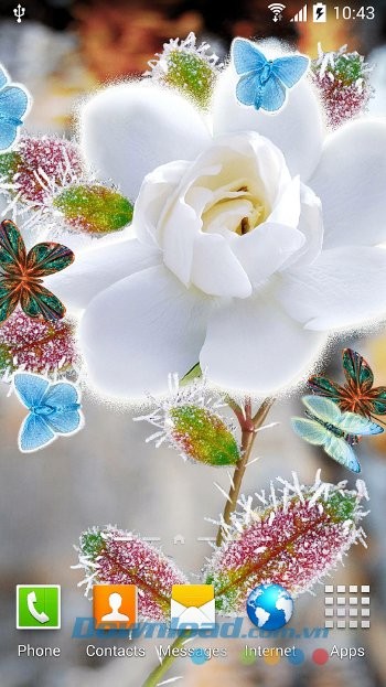 Abstract Butterflies Wallpaper gồm rất nhiều hình nền bắt mắt