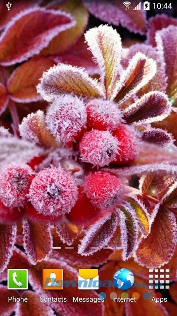 Abstract Butterflies Wallpaper đa dạng các hình nền khác nhau