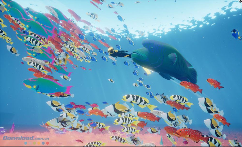 Bơi cùng nhiều loài cá trong game