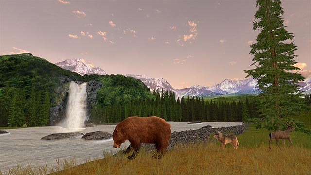 Săn động vật hoang dã trong rừng, trên núi hay sa mạc rộng lớn