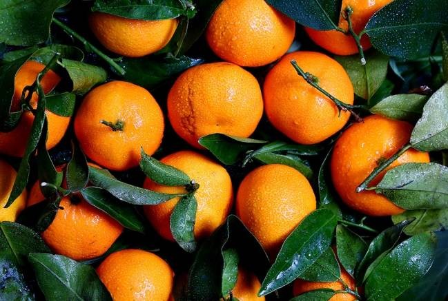 ACDSee Photo Studio Standard 2019 chỉnh sửa ảnh toàn diện