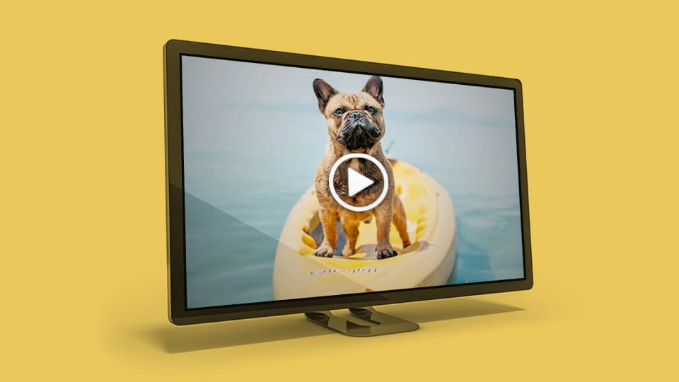 ACDSee Photo Studio Home 2020 là phần mềm quản lý ảnh chuyên nghiệp