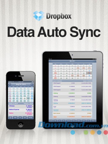 AceMoney Lite for iPad