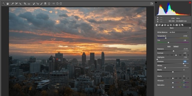 Adobe Camera Raw 10