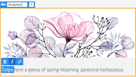 Adobe Dreamweaver 2020 hỗ trợ chỉnh sửa ngay trong cửa sổ xem trực tiếp
