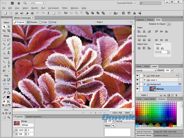 Adobe Fireworks CS6