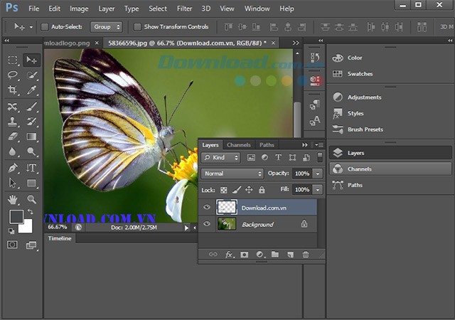 Các lớp Vec-tơ trong Photoshop CS6
