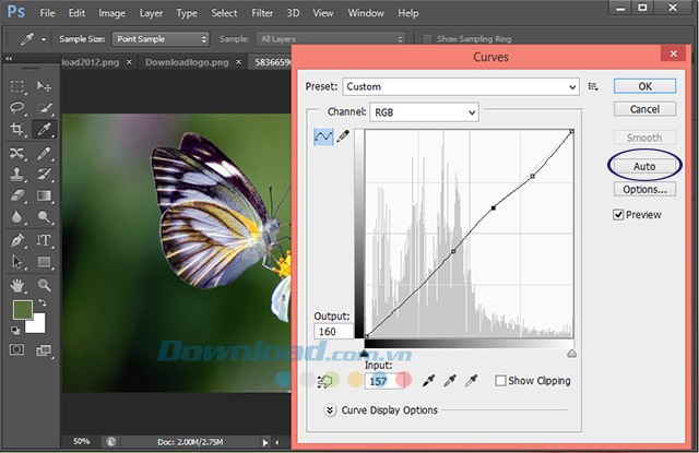 Khả năng tự động điều chỉnh của Photoshop CS6
