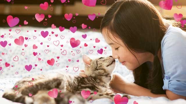 Adobe Photoshop Elements áp dụng hiệu ứng lấp lánh tự động