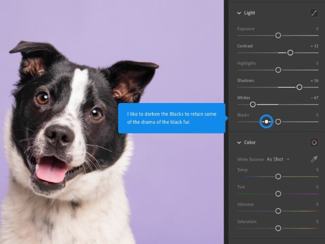 Adobe Photoshop Lightroom cung cấp hướng dẫn từ dân chuyên nghiệp