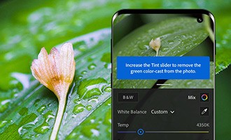 Adobe Photoshop Lightroom có hướng dẫn từng bước