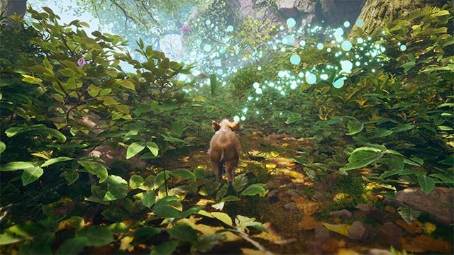 Lối chơi của Adorable Adventure kết hợp giữa khám phá, giải đố và tương tác