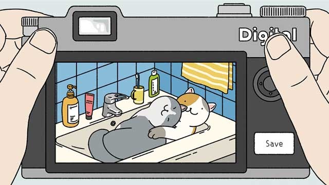 Chụp ảnh mèo bằng máy ảnh retro và dán tất cả vào album ảnh