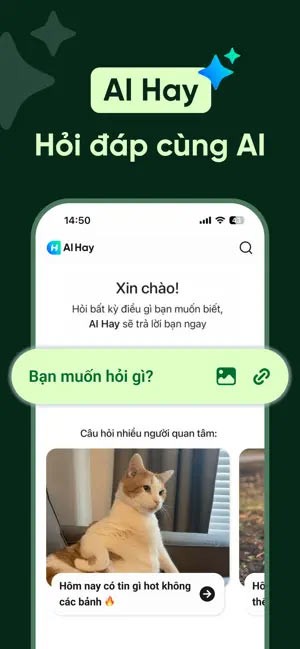 AI Hay - Hỏi đáp cùng AI