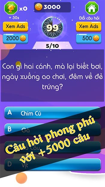 Câu hỏi phong phú