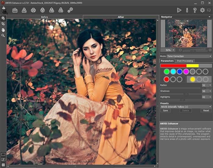 AKVIS Enhancer rất dễ sử dụng với bộ công cụ quen thuộc