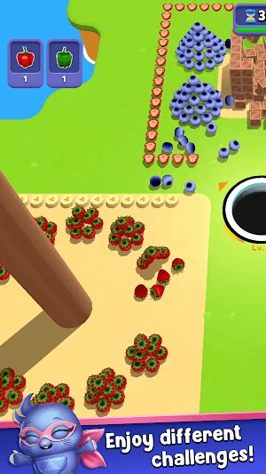 Tận hưởng và chinh phục các thách thức khác nhau