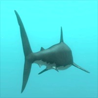 Alpha Shark: Game Cá Mập Trắng Săn Mồi Hấp Dẫn