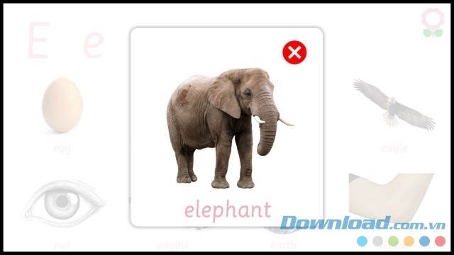 Hình ảnh minh họa từ vựng kèm âm thanh rõ nét