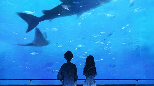 Tìm ra sự thật ẩn giấu vào cuối mùa thu