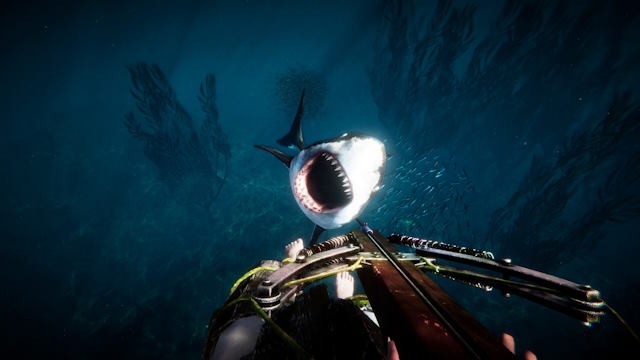 Tham gia các trận PvP quy mô lớn với sinh vật biển và người chơi khác