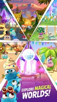 Khám phá thế giới kỳ diệu của những chú chim