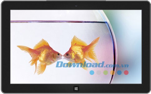 Animal Affection theme