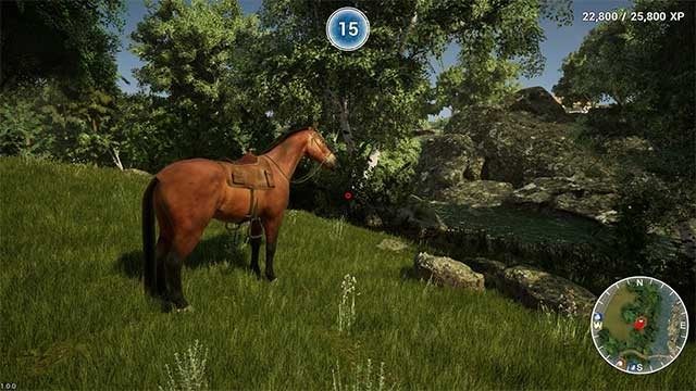 Trải nghiệm nhiều hoạt động đa dạng như cưỡi ngựa trên những cánh đồng lớn