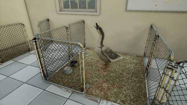 Các nhiệm vụ đặc biệt sẽ giúp phát triển và nâng cao kỹ năng thú y của bạn