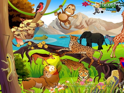 Animal Park Hidden Number