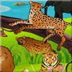 Animal Park Hidden Number - Game Tìm Đồ Vật Vui Nhộn