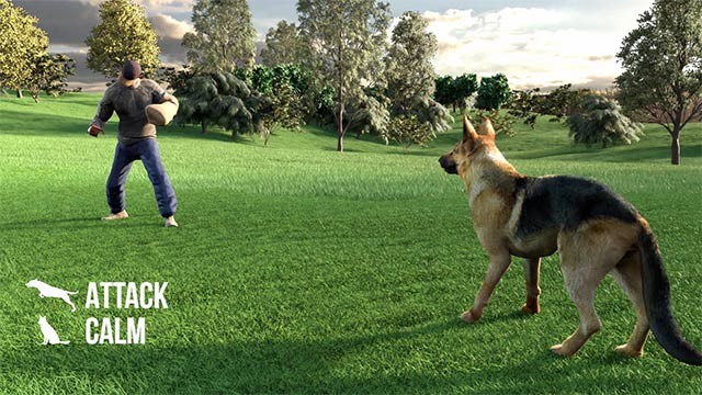 Animal Trainer là trò chơi giả lập huấn luyện động vật gồm chó, mèo, chim, ngựa...