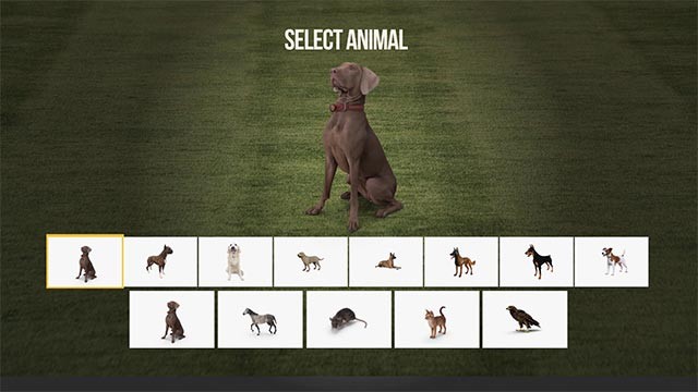 Lựa chọn loài và giống động vật bất kỳ mà bạn muốn chăm sóc cũng như huấn luyện
