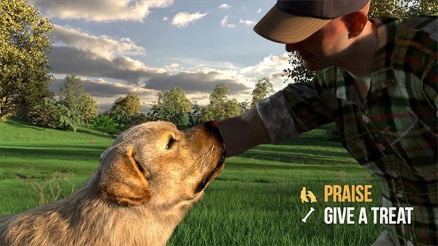 Chăm sóc động vật, đảm bảo sức khỏe và tinh thần của chúng