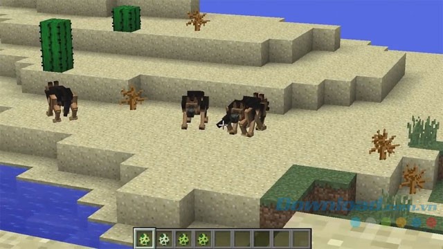 Chiến đấu với mob mới