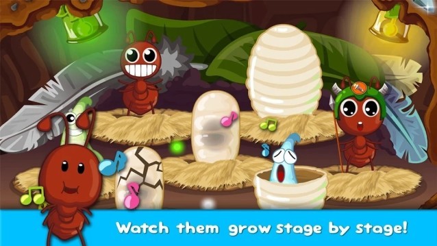 Xem vòng đời của loài kiến