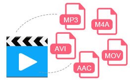 Any Video Converter Pro tích hợp media player