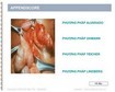 Appendscore - Giải pháp tăng trưởng doanh thu